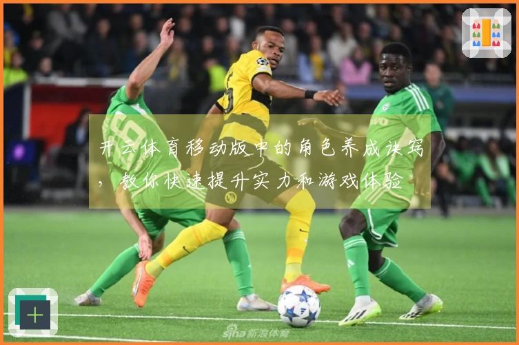 开云体育移动版中的角色养成诀窍，教你快速提升实力和游戏体验