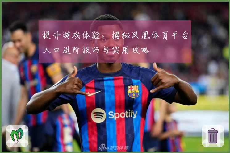 提升游戏体验，揭秘凤凰体育平台入口进阶技巧与实用攻略